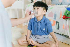 Lollababy Portable Micromesh Nebulizer